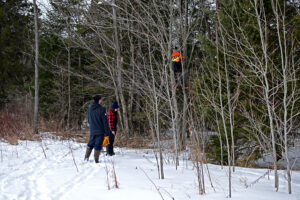 Student up in a tree with Mr. Fong and students 