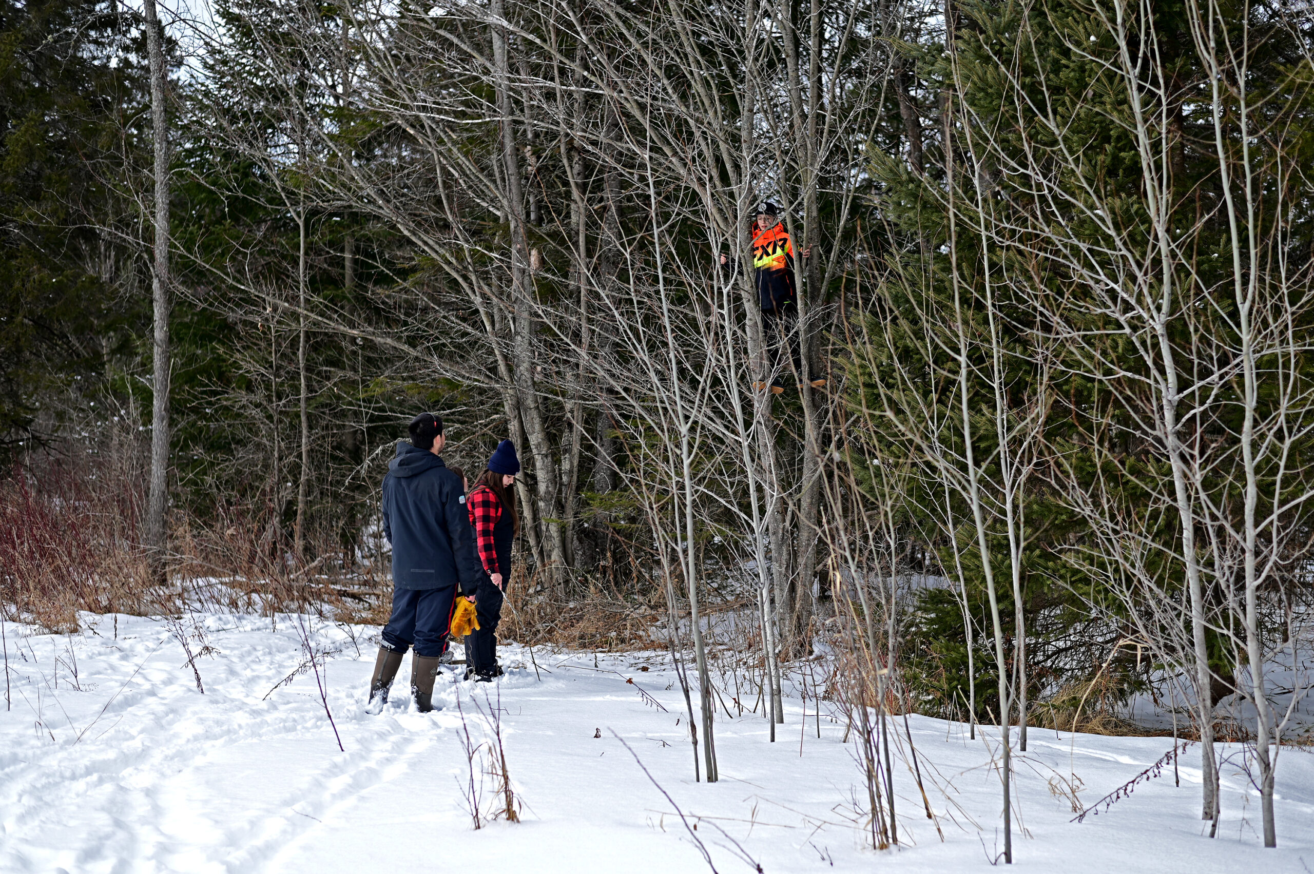 Student up in a tree with Mr. Fong and students