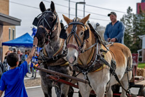 A student pets the soft muzzle of one of the horses 