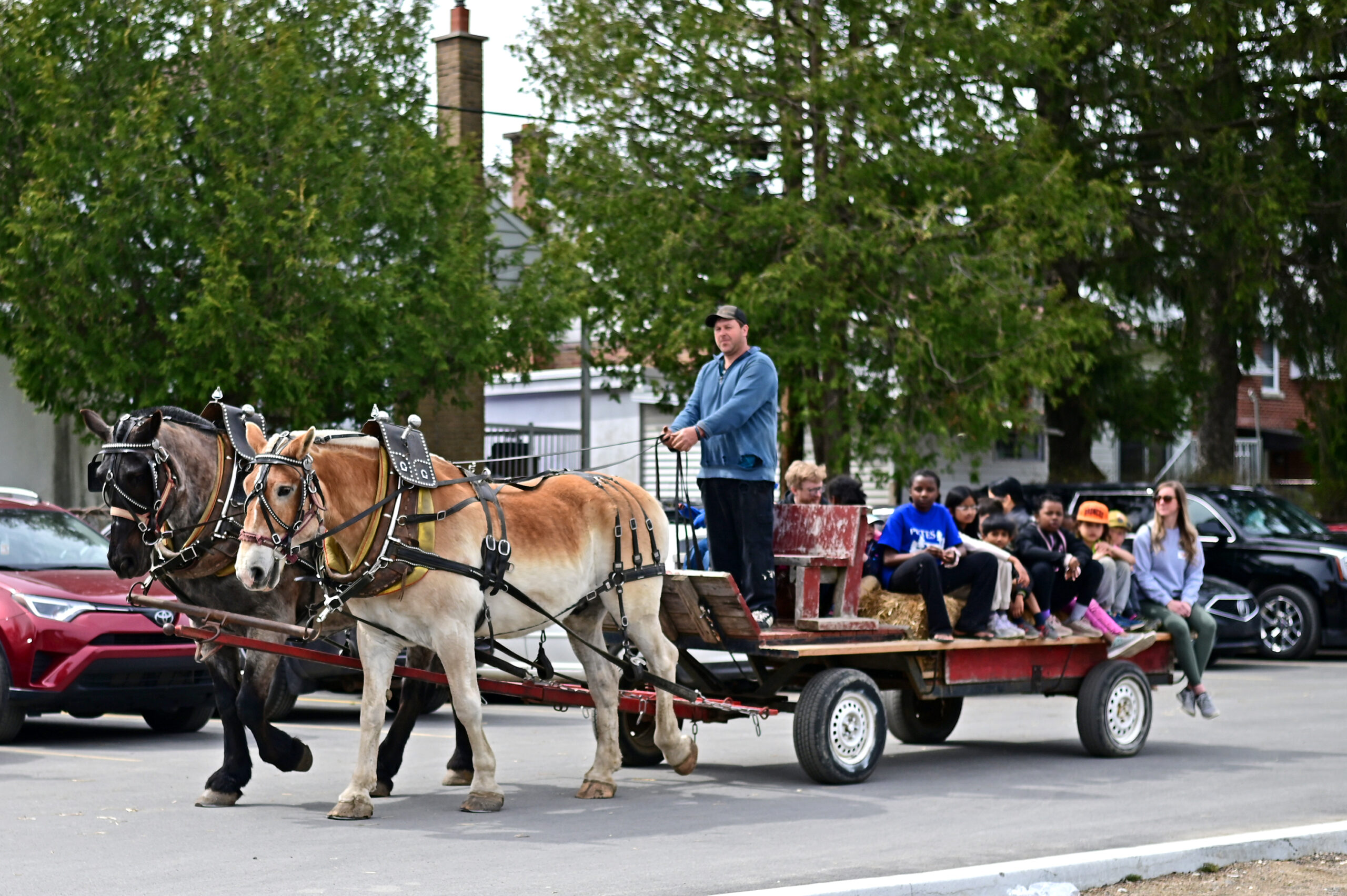 Children and students enjoying a horse carriage ride