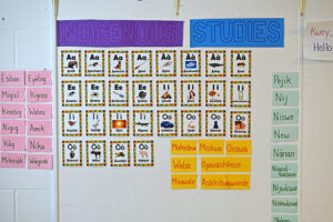 Drew's classroom walls are full of Indigenous knowledge